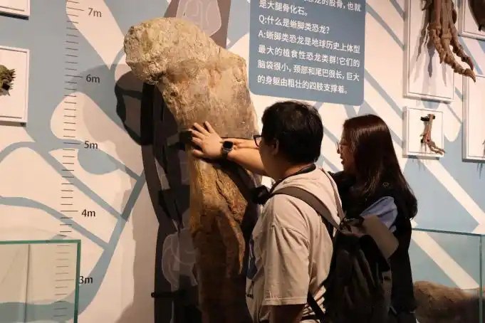 廣州正佳自然科學博物館