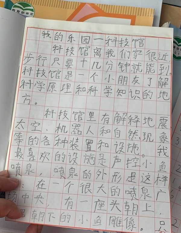 低視力小女孩寫(xiě)的作文